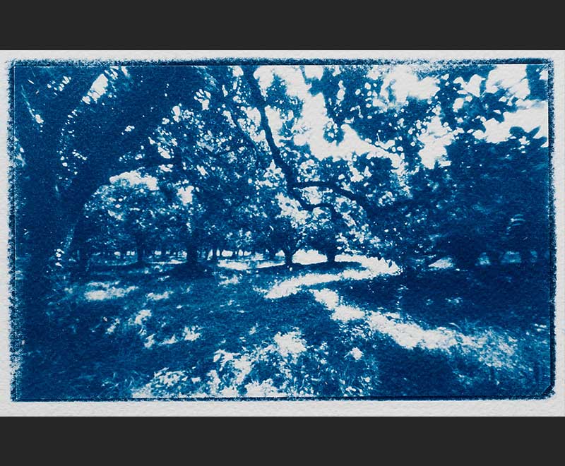 Slide 5