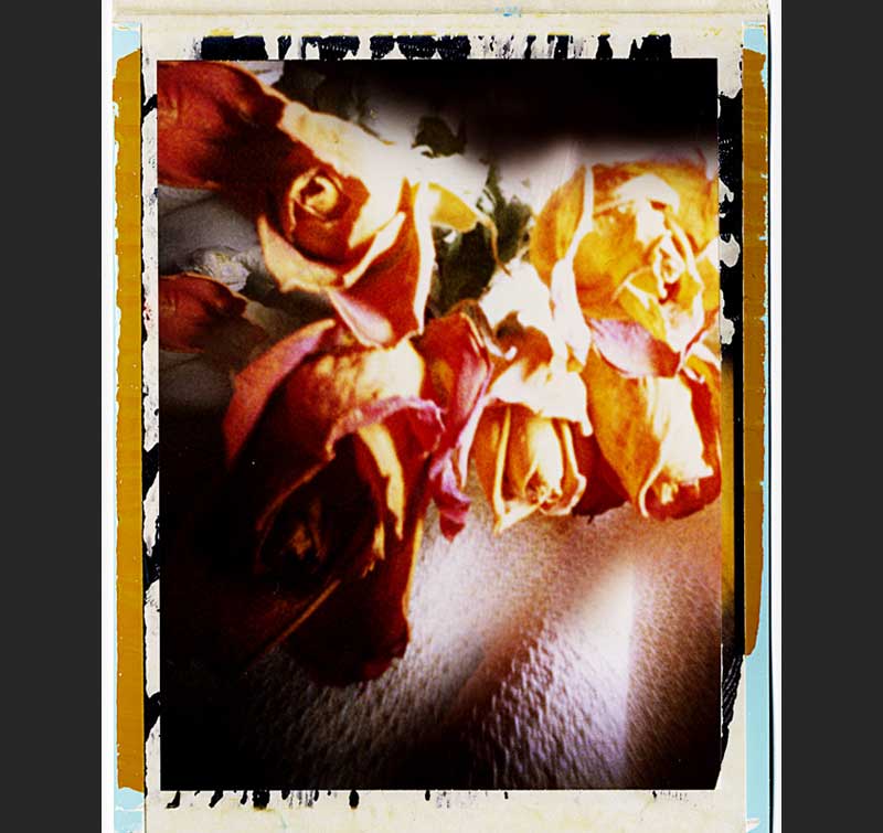 Slide 6