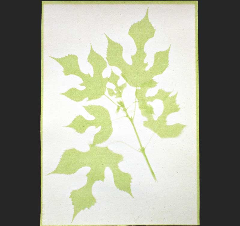 Slide 9