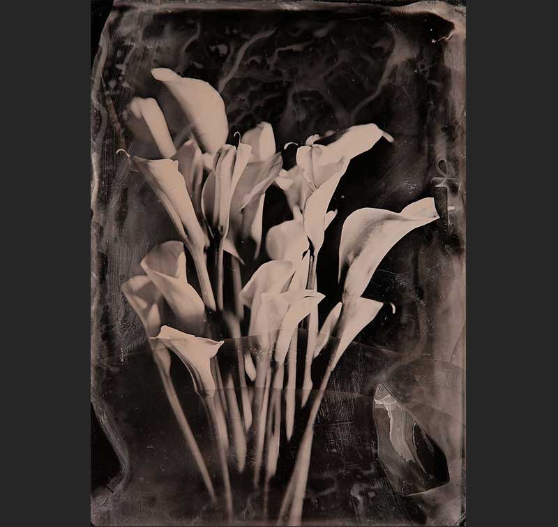 Slide 8
