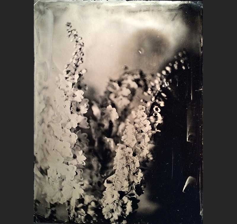 Slide 14